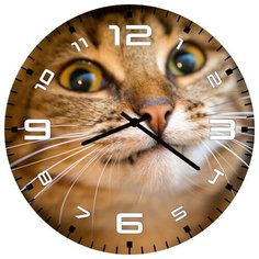 SvS Настенные часы SvS 3001607 Котэ СВС