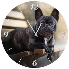 SvS Настенные часы SvS 3501861 Черный пес СВС