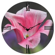 SvS Настенные часы SvS 3003192 СВС