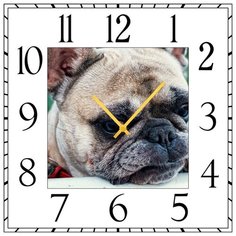 SvS Настенные часы SvS 4001870 Собакен СВС