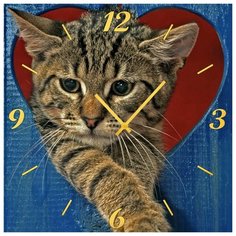 SvS Настенные часы SvS 3501856 Расстроеный кот СВС