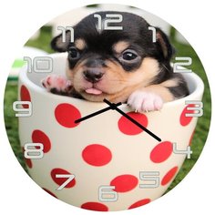 SvS Настенные часы SvS 4001849 Песик в чашке СВС
