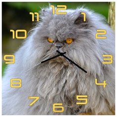 SvS Настенные часы SvS 3002049 Серьезный кот СВС