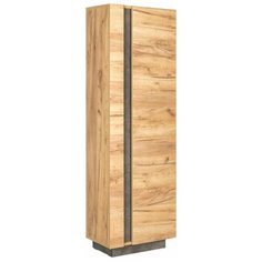 Арчи Шкаф комбинированный 10.05 (Дуб Золотой CRAFT, Камень Темный U3705) Mobi