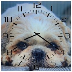 SvS Настенные часы SvS 3002071 Унылый пес СВС