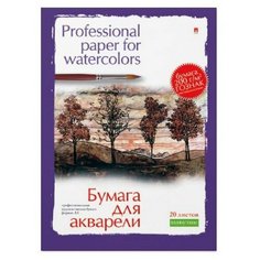 Папка для рисования акварелью А3,20л,блок гознак 200гр 4-020 дизайн в ассор Альт