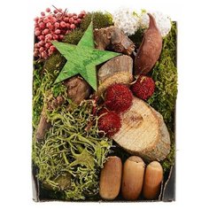 Декоративный набор лесной УЮТ (со звёздочкой), натуральные материалы, подарочная коробка, 14х20 см, Kaemingk 707399-звез