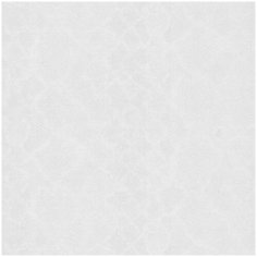 Обои Roberto Cavalli №6 17094 , винил на флизелине, 10,05 х 0,70 м