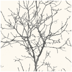 Обои Grandeco New Aurora NA 3404 , винил на флизелине, 10,05 х 0,53 м