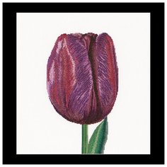 Набор для вышивания Фиолетовый Тюльпан Триумф, канва лён 32 ct 34 х 36 см THEA GOUVERNEUR 514