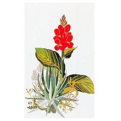 Набор для вышивания Юкка, канва лен 32 ct 48 х 68 см THEA GOUVERNEUR 846