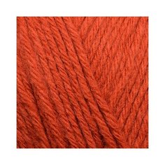 Пряжа для вязания ПЕХ Молодёжная (91% акрил высокообъемный, 9% полиамид) 5х200г/280м цв.030 св.терракот Пехорка ПЕХ.молод.030