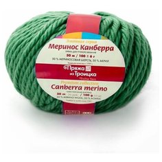 Пряжа для вязания ТРО Меринос Канберра (50% мериносовая шерсть, 50% акрил) 5х100г/50м цв.0112 зеленый Пряжа из Троицка ТРО.МЕР.КАН.0112 Троицкая камвольная фабрика