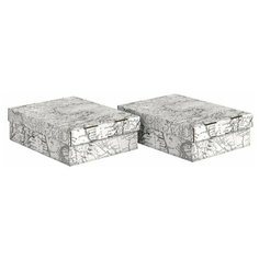 Набор коробов картонных 2 шт., 25*33*9 см, EXPEDITION Valiant