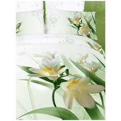 "Постельное белье "Волшебные сны" семейный размер, сатин