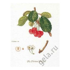 Набор для вышивания Флоренция. Вишни, канва лён 36 ct 26 х 35 см THEA GOUVERNEUR 2058