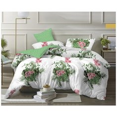 Постельное белье Mercury Home Амазонка Евро Макси Поплин