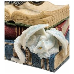Статуэтка Дракон на книгах WS-844 113-904542 Veronese