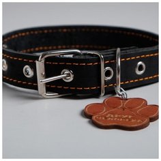Ошейник кожаный Пушистое счастье однослойный, 30-53 см, 58*2,5 см, черный, с деревянным подвесом, "Друг человека"