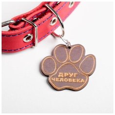 Ошейник кожаный Пушистое счастье однослойный, 31-53 см, 58*2,5 см, малиновый