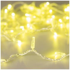 Светодиодная гирлянда ARD-STRING-CLASSIC-10000-CLEAR-100LED-STD Gold (230V, 7W) (Ardecoled, IP65) Arlight