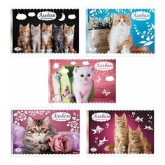 Альбом для рисования, А4, 24 листа, скоба, обложка картон, HATBER, 205х290 мм, "Кошарики" (5 видов), 24А4В