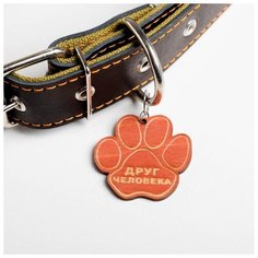 Ошейник комбинированный Пушистое счастье кожа-брезент, 49-62 см, 67*3,6 см,