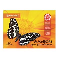 Альбом для рисования, А4, 40 листов, скоба, выборочный лак, BRAUBERG, 202х285 мм, "Летняя феерия" (1 вид), 103434