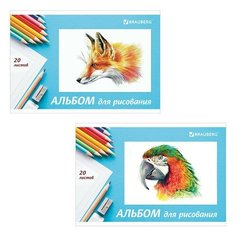 Альбом для рисования, А4, 20 л., скоба, обложка картон, BRAUBERG, 200х283 мм, "Я рисую мир" (2 вида), 104872