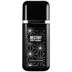 Парфюмерная вода Chris Adams Destiny, 100 мл