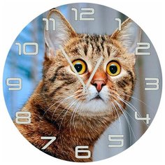 SvS Настенные часы SvS 3002513 Удивленный кот СВС