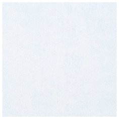 Обои Rasch Bambino XVIII 247442