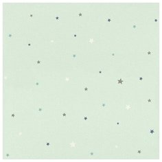 Обои Rasch Bambino XVIII 245240