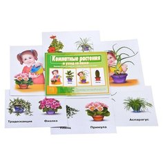 Настольная игра "Комнатные растения и уход за ними" Весна Дизайн