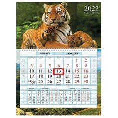 Календарь квартальный с бегунком, 2022 год, 1 блок, 1 гребень, Соло-Люкс, "Год тигра", HATBER, 1Кв1гр4ц_24613