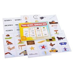 Настольная игра "Разные картинки, одинаковые слова (омонимы)" Весна Дизайн