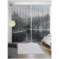 Портьеры JoyArty Лесные льды на ленте 265 см (p-12608)