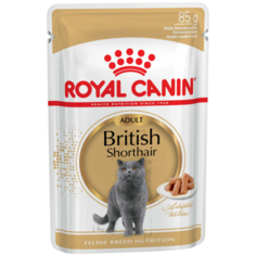 Влажный корм для кошек Royal Canin породы Британская короткошерстная 24 шт. х 85 г (кусочки в соусе)