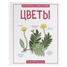 Бедуайер К. "Цветы" Machaon