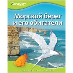 Discovery Education. Морской берег и его обитатели Machaon