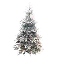 Царь елка Ель Датская голубая заиндевелая, 185 см