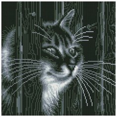 Алмазная мозаика на подрамнике ТМ Белоснежка "Любопытный сосед", 30X30 см.