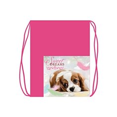 МО-22 Мечтатель -мешок для обуви 1 отделение с карманом Оникс