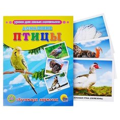 Обучающие карточки. Домашние птицы Проф Пресс