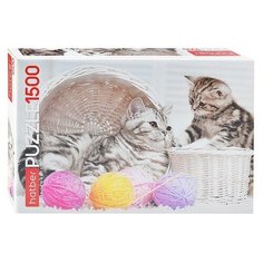 Пазлы 1500 "Котята и клубочки" Hatber