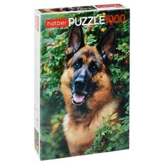 Пазлы 1000 "Верный друг" Hatber