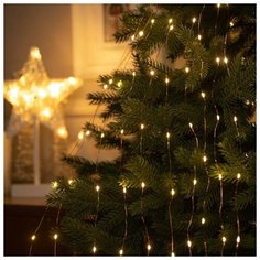 Luazon Lighting Гирлянда "Конский хвост" 10 нитей по 2 м , IP20, медная нить, 200 LED, свечение тёплое белое, фиксинг, 12 В