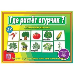 Настольная игра Весна-Дизайн Где растёт огурчик?