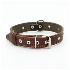 Ошейник комбинированный Пижон безразмерный, кожа-брезент, 60*3 см, ОШ 30-57 см, коричневый-зеленый