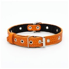 Ошейник кожаный Пижон усиленный капроном, с полукольцом, 55*2,5 см, ОШ 27-53 см, рыжий